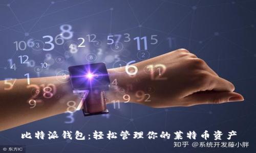 比特派钱包：轻松管理你的莱特币资产