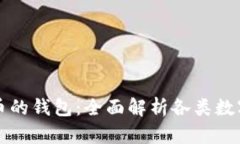 能存所有虚拟币的钱包：全面解析各类数字货币