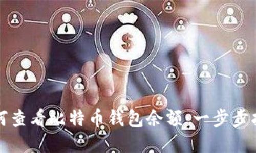 如何查看比特币钱包余额：一步步指导