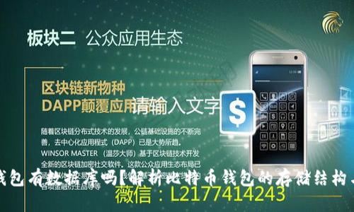 比特币钱包有数据库吗？解析比特币钱包的存储结构与安全性