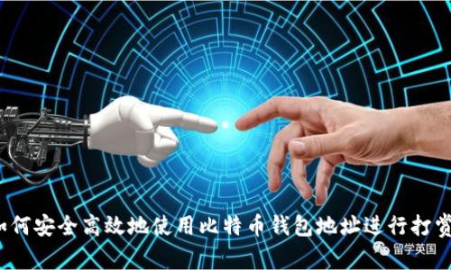 如何安全高效地使用比特币钱包地址进行打赏？