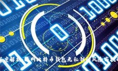 深度解析：暗网比特币钱包无私钥的风险与挑战