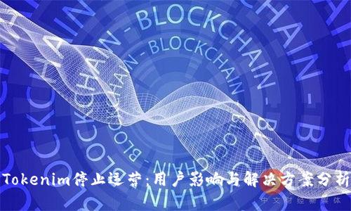 Tokenim停止运营：用户影响与解决方案分析