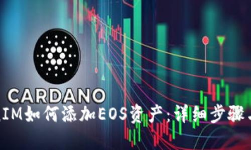 TokenIM如何添加EOS资产：详细步骤与技巧