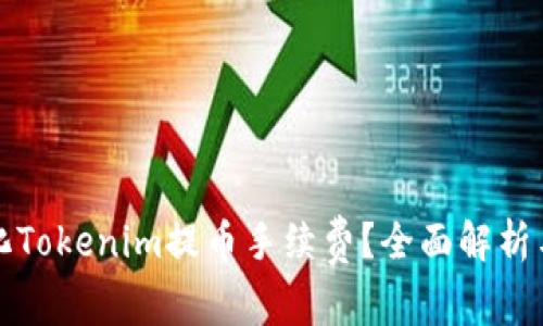 如何最小化Tokenim提币手续费？全面解析与用户指南