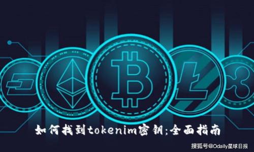 如何找到tokenim密钥：全面指南