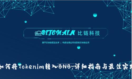 如何将Tokenim转入BNB：详细指南与最佳实践