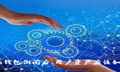 Tokenim钱包倒闭后，用户资产应该如何处理？
