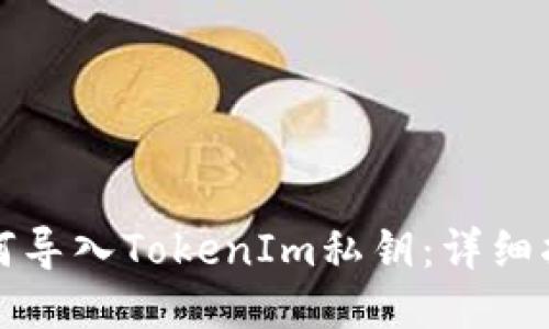 如何导入TokenIm私钥：详细指南