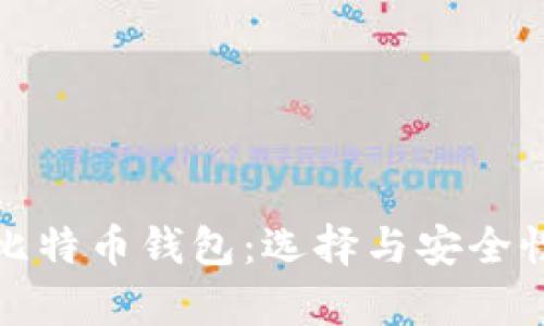 全面解析比特币钱包：选择与安全性的重要性