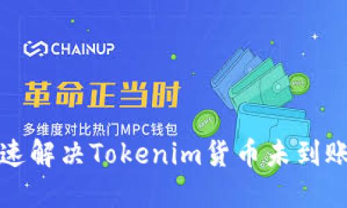 如何快速解决Tokenim货币未到账的问题