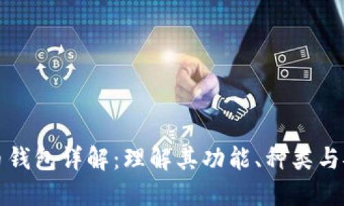 比特币钱包详解：理解其功能、种类与安全性