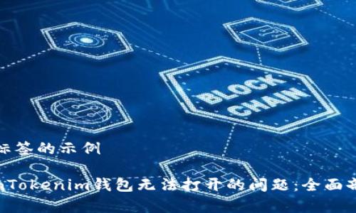 加入和关键词标签的示例

如何解决TokenTokenim钱包无法打开的问题：全面剖析及解决方案