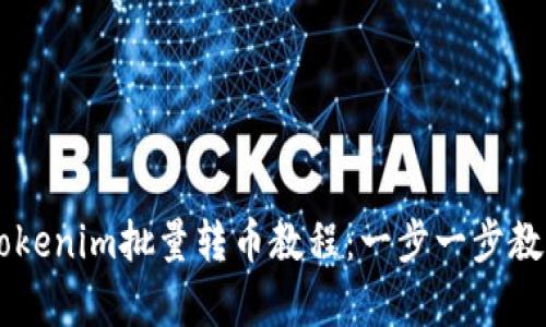 详细解析Tokenim批量转币教程：一步一步教你轻松转币