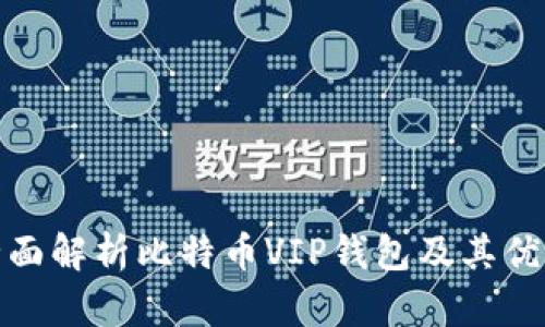 全面解析比特币VIP钱包及其优势