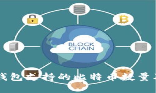 了解Plus钱包支持的比特币数量及其安全性