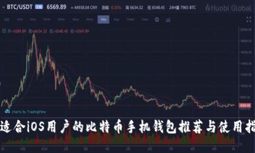 最适合iOS用户的比特币手机钱包推荐与使用指南