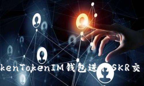 如何使用TokenTokenIM钱包进行SKR交易：详尽指南