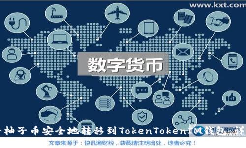 如何将柚子币安全地转移到TokenTokenIM钱包：详细指南