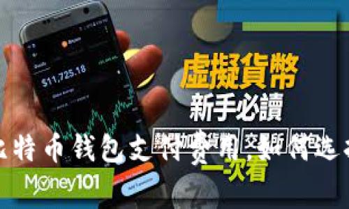 全面解析比特币钱包支付费用，如何选择最优方案
