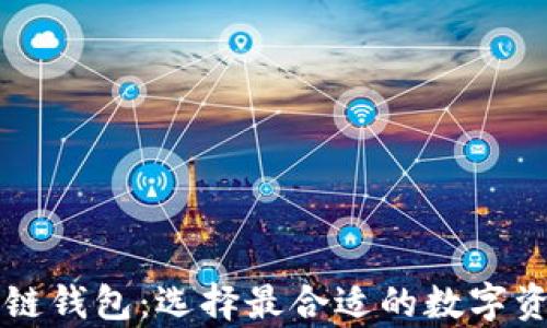 
不可替代的区块链钱包：选择最合适的数字资产存储解决方案