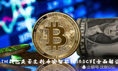 TokenTokenIM钱包是否支持币安智能链（BSC）？全面解读与使用指南