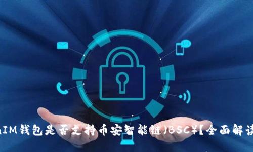 TokenTokenIM钱包是否支持币安智能链（BSC）？全面解读与使用指南