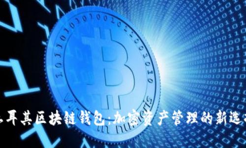 土耳其区块链钱包:加密资产管理的新选择