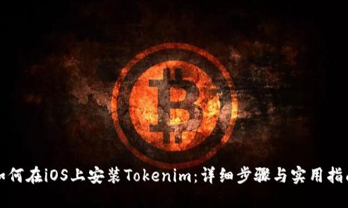 如何在iOS上安装Tokenim：详细步骤与实用指南