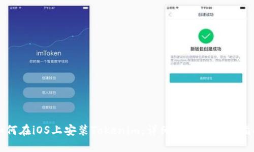如何在iOS上安装Tokenim：详细步骤与实用指南