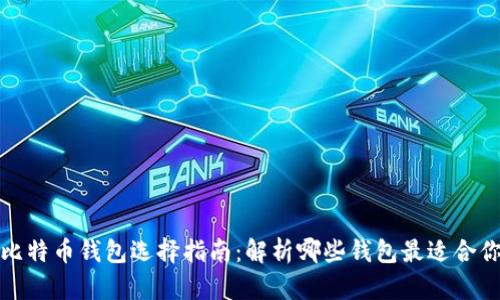 比特币钱包选择指南：解析哪些钱包最适合你