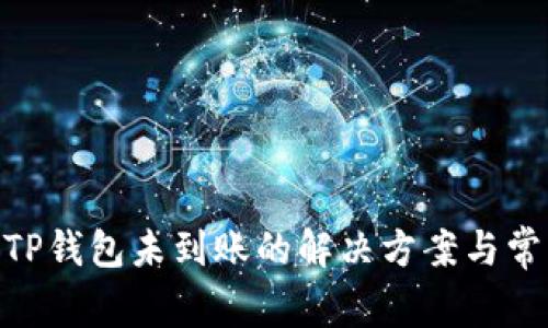 Tokenim转TP钱包未到账的解决方案与常见问题解析