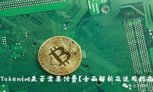 Tokenim是否需要付费？全面解析及使用指南