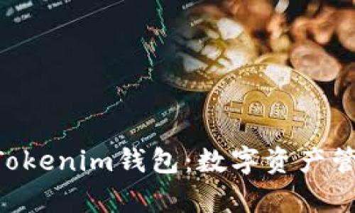 全面解析TokenTokenim钱包：数字资产管理的安全与便利