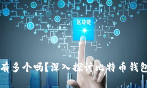 比特币钱包可以有多个吗？深入探讨比特币钱包的多样性与使用