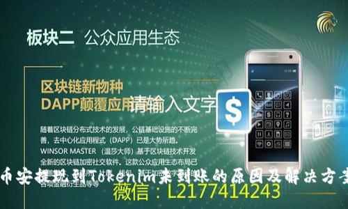 币安提现到Tokenim未到账的原因及解决方案