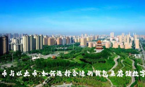 比特币与以太币：如何选择合适的钱包来存储数字货币