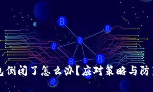 区块链钱包倒闭了怎么办？应对策略与防范措施详解