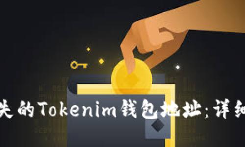如何找回丢失的Tokenim钱包地址：详细指导与技巧