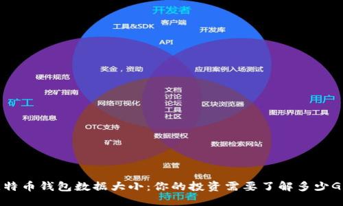 比特币钱包数据大小：你的投资需要了解多少GB？
