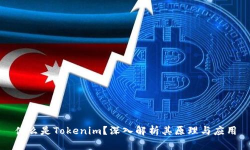 什么是Tokenim？深入解析其原理与应用