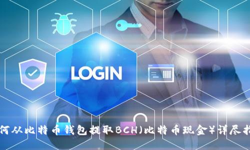 如何从比特币钱包提取BCH（比特币现金）详尽指南