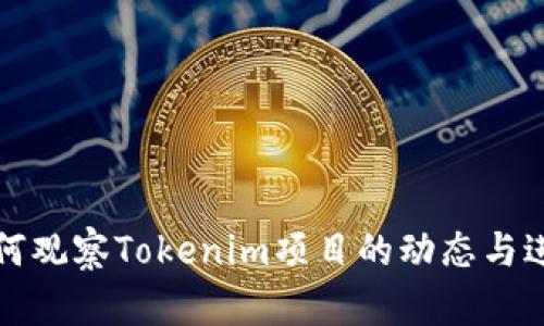 如何观察Tokenim项目的动态与进展