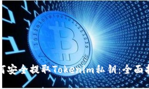 如何安全提取Tokenim私钥：全面指南