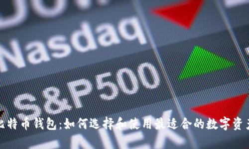 全球通用比特币钱包：如何选择和使用最适合的数字资产存储方案