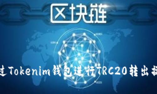 如何通过Tokenim钱包进行TRC20转出操作详解