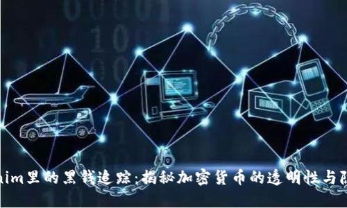 Tokenim里的黑钱追踪：揭秘加密货币的透明性与隐蔽性