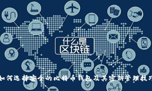 如何选择安全的比特币钱包及其密钥管理技巧