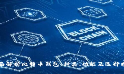 全面解析比特币钱包：种类、功能及选择指南