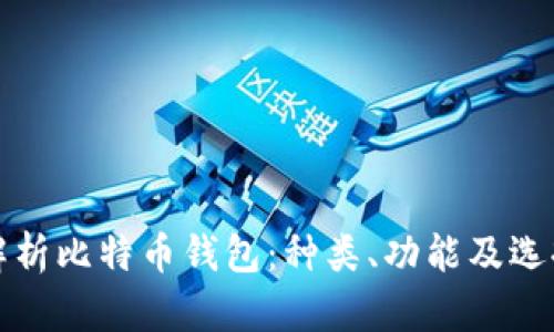 全面解析比特币钱包：种类、功能及选择指南